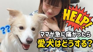 犬は急に飼い主が痛がったら心配すると思ったら..まさかの結果に。