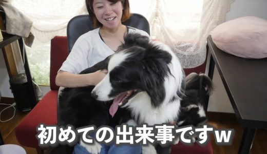 犬に旦那のグチを相談したら犬が予想外の動きを連発したｗ