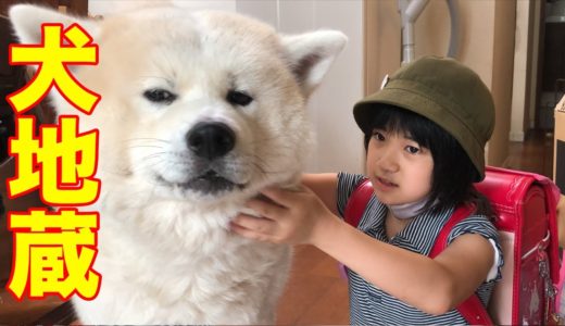 犬地蔵・秋田犬そうすけ・人々をグータラ生活に導きます♪【VLOG】