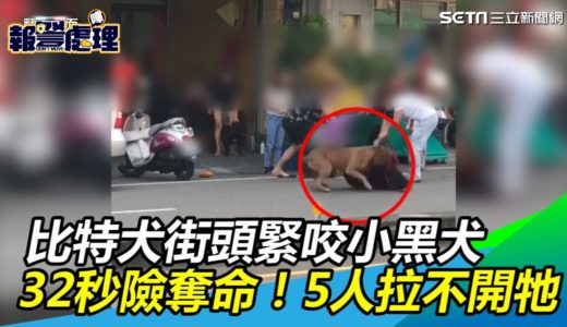 32秒險奪1命！比特犬街頭緊咬小黑犬　5個人拉不開牠｜三立新聞網SETN.com