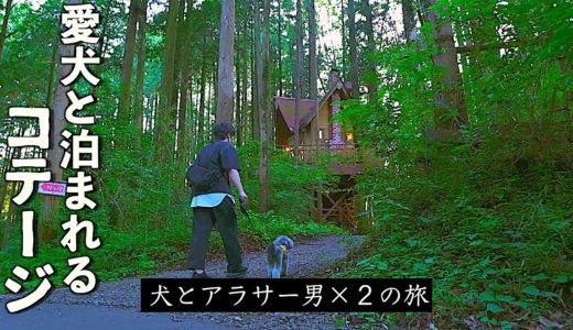 🐶【犬とアラサー男達】大自然のコテージで一泊二日の男旅【トイプードル】【Vlog】