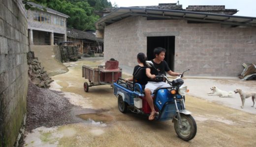 田園犬看到主人準備上坡，趴在旁邊蹲點，主人一走狗狗立馬跟上