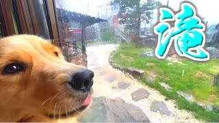 犬小屋から滝の様な雨が流れてる・・・