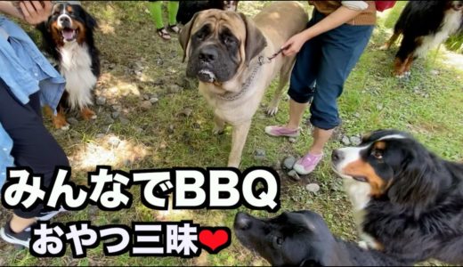 犬も人も食いしん坊・みんなでBBQ