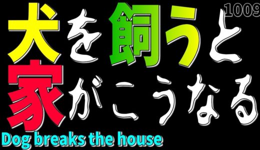 犬を飼う前に絶対に見て下さい！家がこうなる可能性があります！崩壊！家具ボロボロ！準備・心構え動画 Please look before you keep a dog