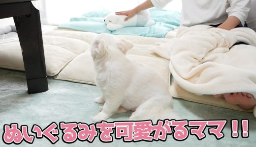 抱っこをされたくない気分の犬の前で、ママがぬいぐるみを抱っこすると…