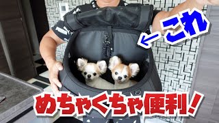 これヤバい！犬専用のとんでもない便利アイテム発見しました！【多頭飼い必見】