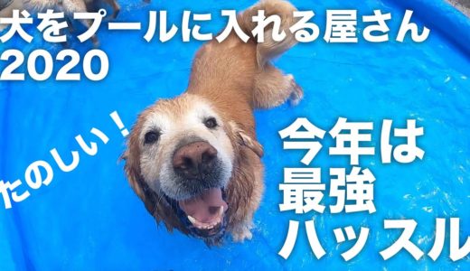 犬をプールに入れる屋さん2020in道志村「今年は獲物の○ ○ ○ ○を投入！？」