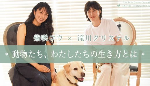 【犬猫好きの方必見】殺処分はこの10年で約1/10に！『クリステル・ヴィ・アンサンブル』の活動について伺いました | 柴咲コウ