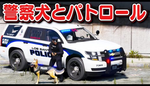 【GTA5】K-9パトロール！警察犬と一緒にパトロールする！警察犬が逃走犯を追いかけて噛みつく！追いかけるのが超速い！｜警察官になる#406【アメリカ警察】ほぅ