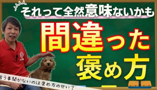 【犬のしつけ】ほめ方にはコツがある！間違ったほめ方を５つご紹介します。