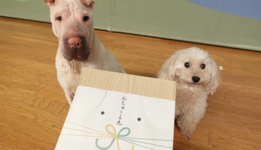 犬専用の「お中元」がセンスが良すぎる！！！