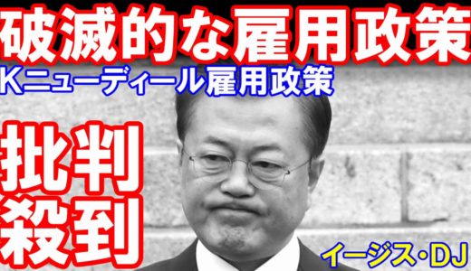 「韓国の雇用政策が悲惨な大失敗」犬の糞掃除、ハトの餌やり、閲覧室の番人ってどんなバイトなんだの話題！（某国のイージス）