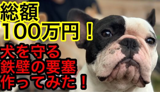 【破産】ありったけの金使いまくって全力で犬を守るドッグブリーダー