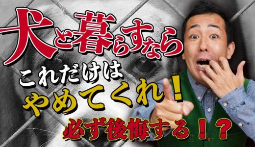 室内飼い絶対推奨！犬と暮らすならこれを守ってほしい！