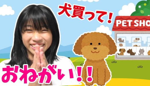 【寸劇】犬買って！犬が欲しいよーお手伝い大作戦！！★にゃーにゃちゃんねるnya-nya channel