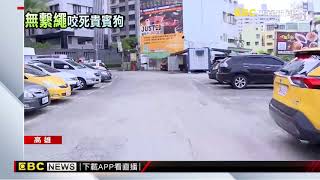 三成人拉不開！ 惡霸犬夜市內沒牽繩 發狂咬死貴賓狗@東森新聞 CH51