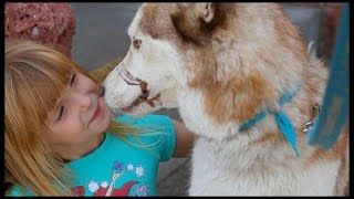 【泣ける】虐待され心を閉ざした犬。もう二度と人と関わらないと決めた犬が少女に近づいた！【応援したくなる話】