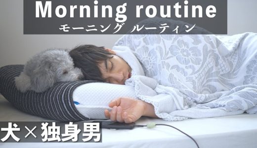 🐶犬と28歳独身男性の一軒家二人暮らしのモーニングルーティン【トイプードル】