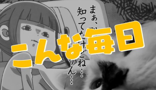 TVアニメ「犬と猫どっちも飼ってると毎日たのしい」PV第2弾