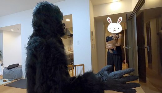 お散歩から帰ってきたらなぜかゴリラがいて犬がすごいことになったw【トイプードル】