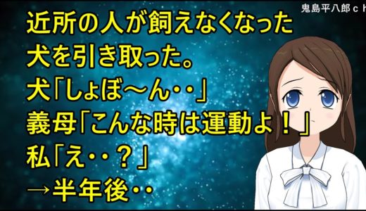 近所の人が飼えなくなった犬を引き取った。犬「しょぼ～ん・・」義母「こんな時は運動よ！」私「え・・？」→半年後・・【修羅場】