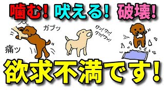 【犬 しつけ】愛犬の問題行動は欲求不満を満たせば減る！【犬 しつけ@横浜】byエマ先生