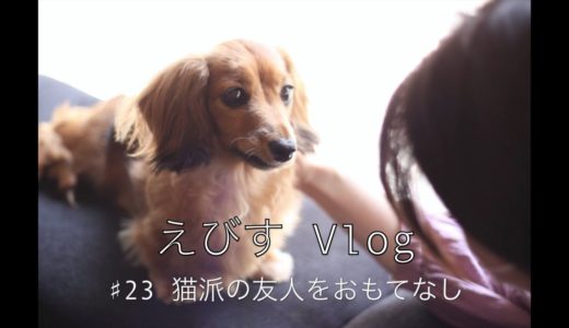 【猫派を犬がおもてなし】お家にお客様が来ました♯２３