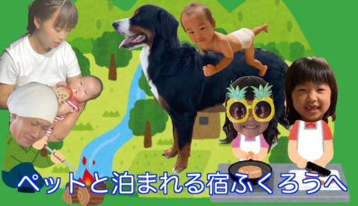 【犬と旅行】ペットと泊まれる宿　ふくろうに遊びに行く　バーニーズマウンテンドッグ　 bernese mountain dog