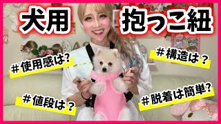 【癒し】”犬用抱っこ紐”で抱っこされてる愛犬🐶おもち🐶が可愛すぎる件!!!!【実際どんな感じなのか】【レビュー】