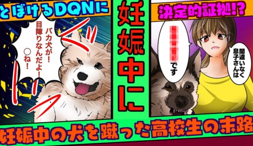 🔴妊娠中の犬を蹴ったDQN→DQN親「あなたの犬が噛み付いてきたから！」→決定的な証拠をつきつけた結果…【漫画】【スカッとする話】