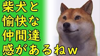 日本原産の犬がどの辺りで生まれたのか？柴犬は気になる