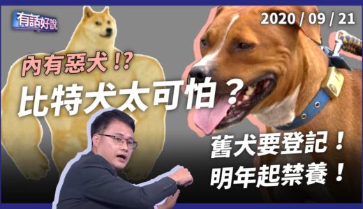 為何禁養比特犬？明年起禁繁殖輸入 舊犬要登記！（公共電視 - 有話好說）