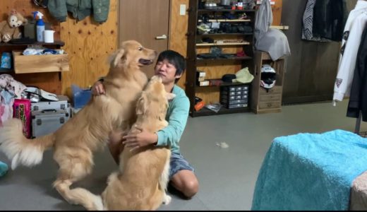 荒ぶる犬を鎮める方法を考えつきました