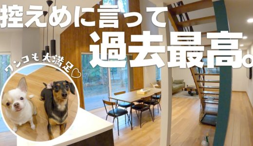 栃木にある犬と泊まれる貸し別荘が控えめに言って神だったよ！