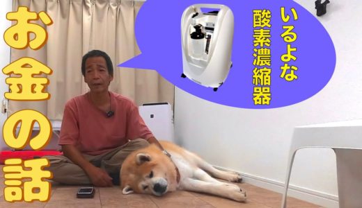 【犬を守るお金】アキラ部屋に酸素濃縮器を！