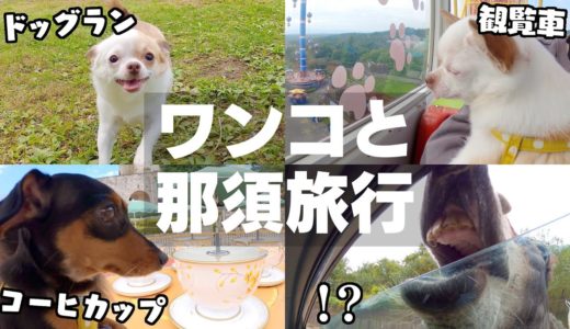 犬と遊べる遊園地&サファリパークが楽し過ぎたw【栃木最高】