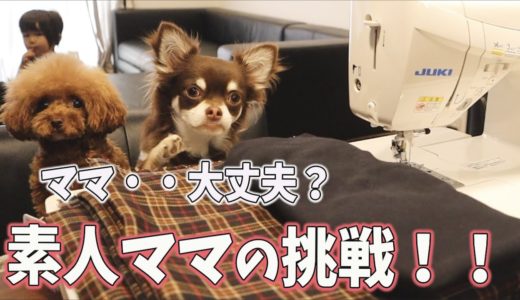 犬の洋服ハンドメイドに挑戦！トイプードルとチワワの洋服作り