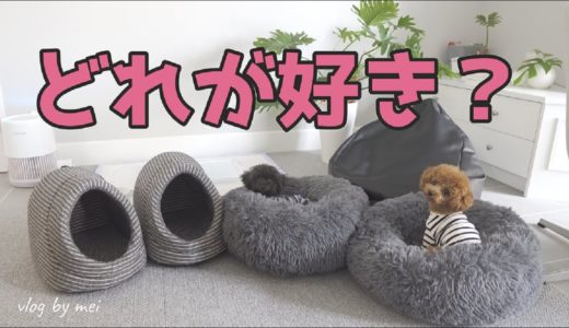 新しくベッドを買ったら犬の生活が激変した！【犬のベッド】