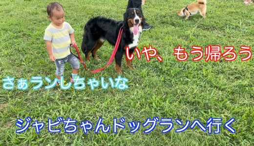 【ドッグラン】犬見知り克服のためお友達と堺浜海とふれあい広場へ行く　バーニーズマウンテンドッグ　 bernese mountain dog