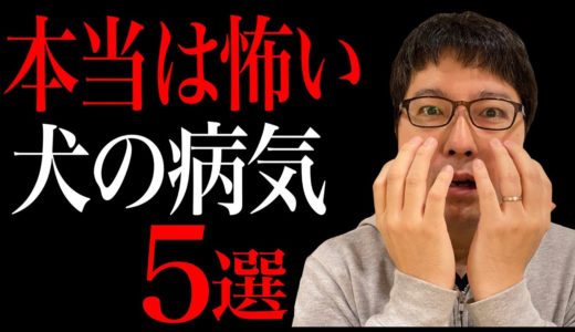 【意外と知られていない】本当は怖い犬の病気5選