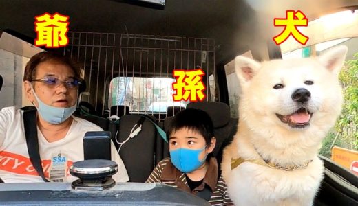 爺・犬・孫・さー今日は何して遊ぶかな？その前に・・【VLOG】