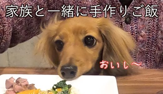 【元保護犬】家族三人で同じご飯を食べる幸せ【カニンヘンダックス えびすの美味しい日常】♯１５