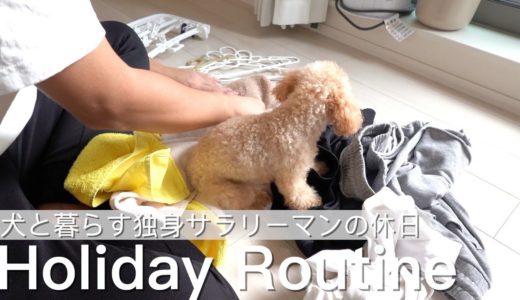 【休日ルーティン】犬と暮らす一人暮らし社会人男の休日