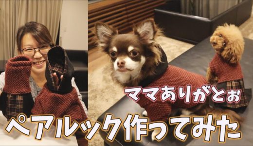 犬の洋服ハンドメイド！トイプードルとチワワの仲良し姉弟ペアルックに挑戦！