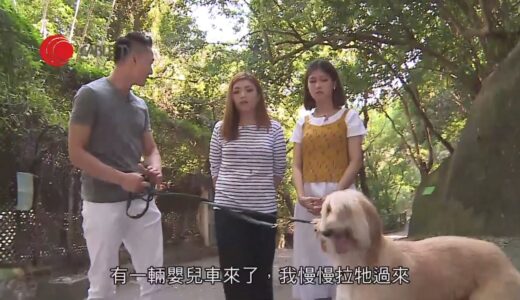 巨犬阿富汗獵犬香港極罕見 騰雞到連BB車聲都驚 Eric Ko教維也納狗仔適應香港生活節奏 狗主學完練習半小時即人狗合一【煉狗術師S1 EP5-1】