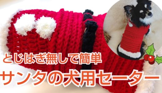 【かぎ針犬用セーター】サンタクロースの可愛いセーターを編んでみました