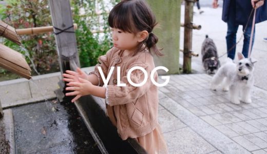 【犬とVLOG】上野公園お散歩休日【シュナウザージジトト】Miniature schnauzer with daughter: Take a walk in the UENO park