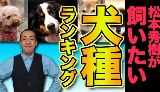 飼いたい犬種TOP5！意外な犬種、珍しい犬種！松本秀樹が本気で飼いたいワンコランキング！！！