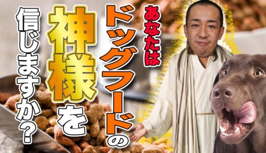 【奇跡】あなたはドッグフードの神様を信じますか？犬のプロ松本秀樹が奇跡を起こす！？